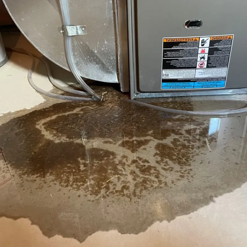 Pipe Burst and Leak Restoration in Sleepy Eye, MN