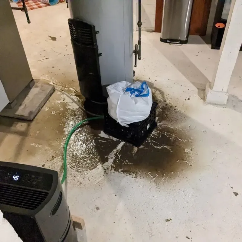 Sewage Backup Cleanup Service in Sleepy Eye, MN